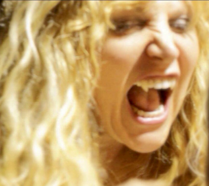 Vamp Bikers the Series